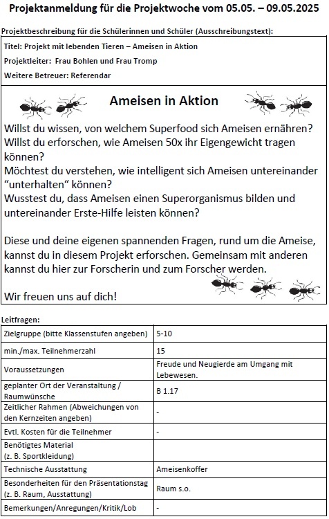 Bild	26	